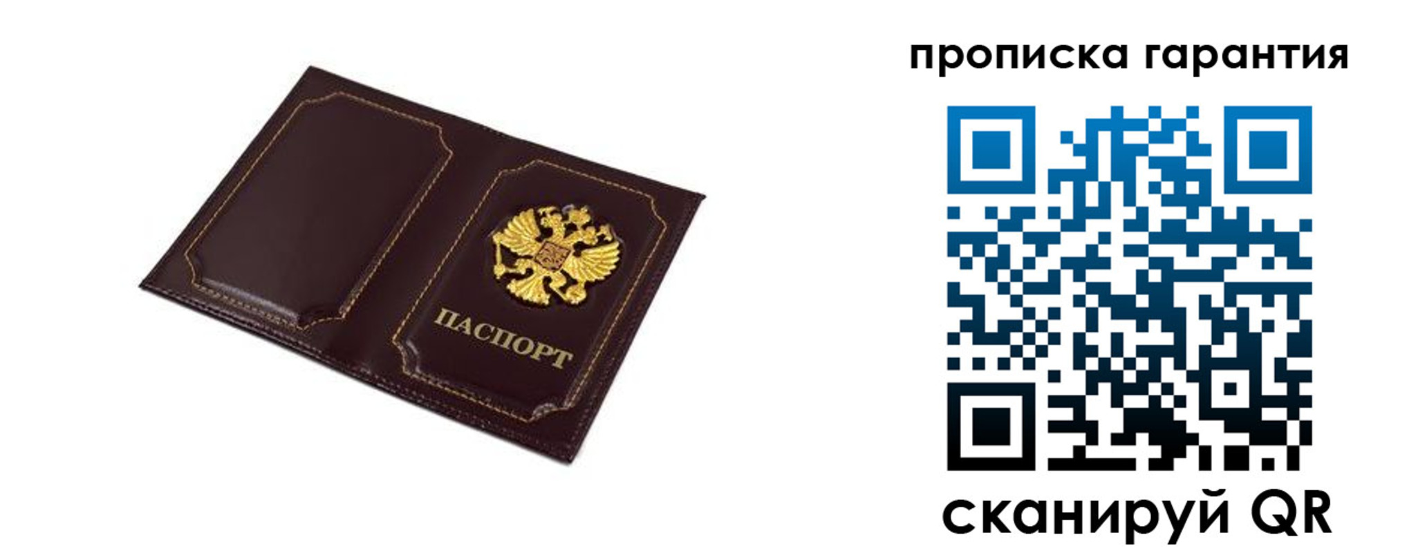 прописка поиск в Михайловке
