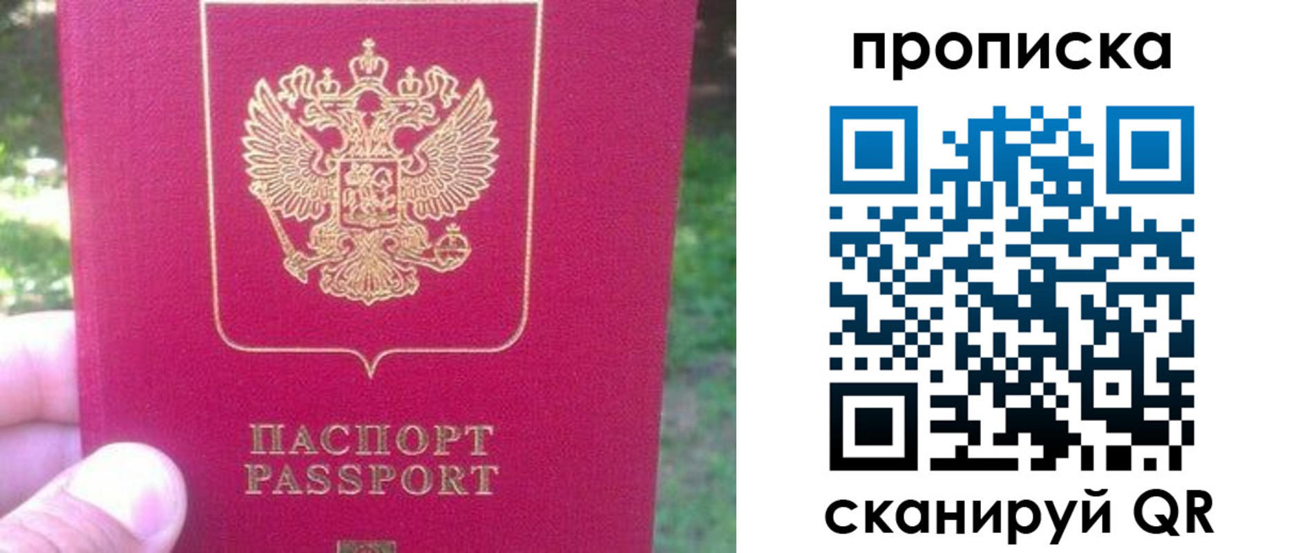 прописка законно в Михайловке